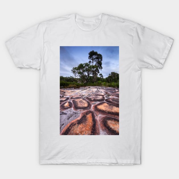 Pavement T-Shirt by Geoff79